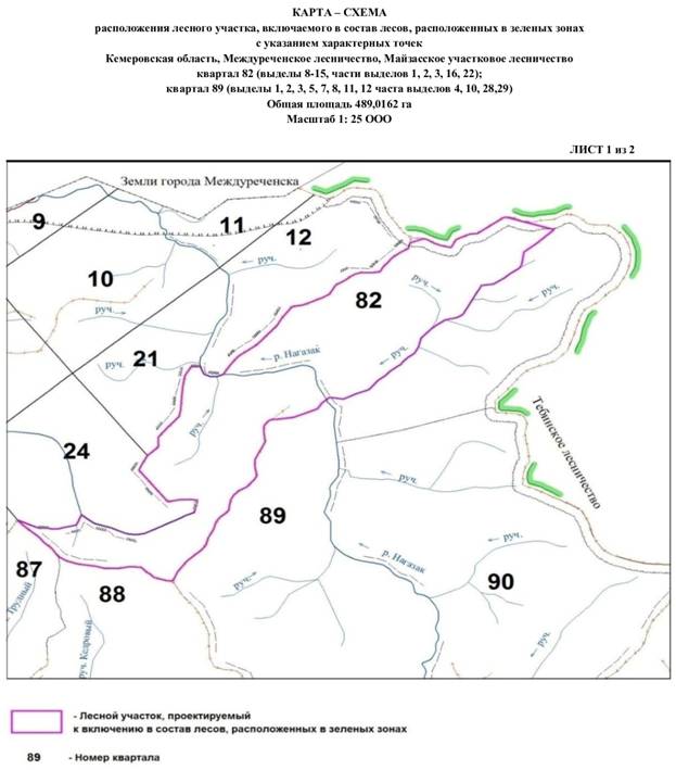 Постановление Правительства Кемеровской области - Кузбасса от 09.04.2021 N 191 "Об изменении площадей и границ земель, на которых расположены леса, указанные в пункте 3 части 1 статьи 114 Лесного кодекса Российской Федерации, Междуреченского лесничества Кемеровской области"