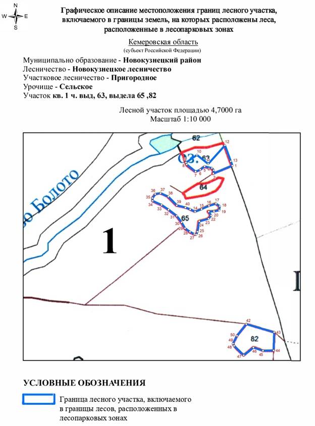 Постановление Правительства Кемеровской области - Кузбасса от 04.05.2021 N 235 "Об изменении площадей и границ земель, на которых расположены леса, указанные в пункте 4 части 1 статьи 114 Лесного кодекса Российской Федерации, Новокузнецкого лесничества Кемеровской области"