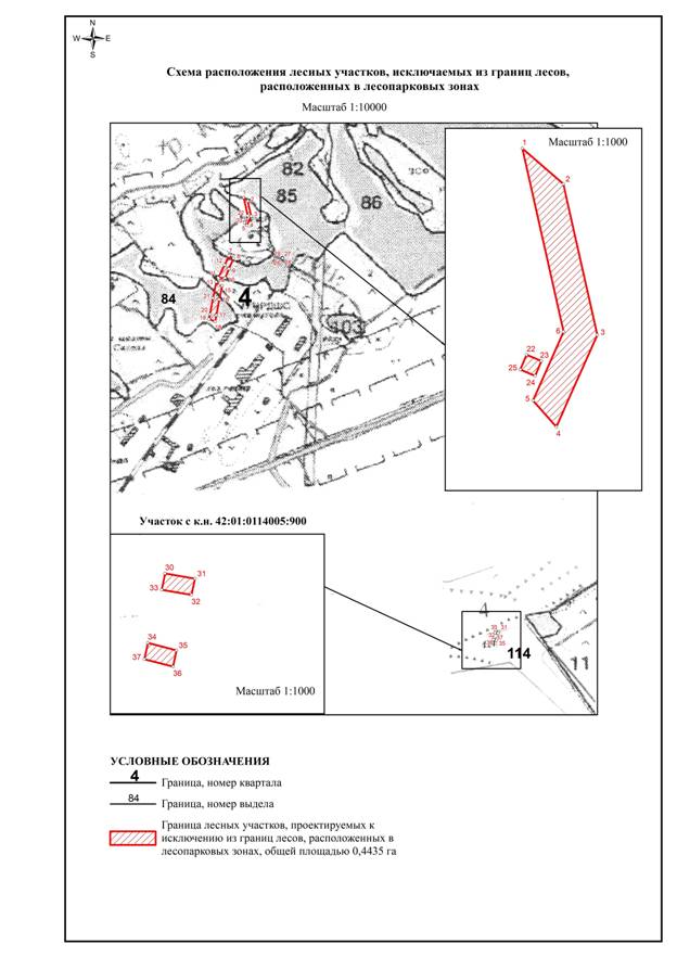 Постановление Правительства Кемеровской области - Кузбасса от 22.06.2021 N 356 "Об изменении площадей и границ земель, на которых расположены леса, указанные в пункте 4 части 1 статьи 114 Лесного кодекса Российской Федерации, Беловского лесничества Кемеровской области"