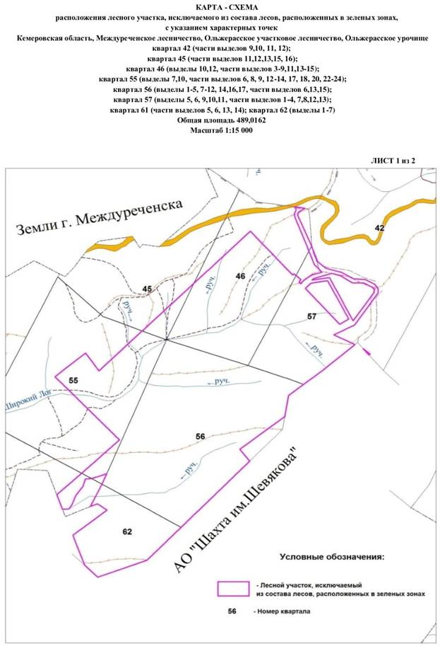 Постановление Правительства Кемеровской области - Кузбасса от 23.08.2021 N 508 "О внесении изменений в постановление Правительства Кемеровской области – Кузбасса от 09.04.2021 N 191"Об изменении площадей и границ земель, на которых расположены леса, указанные в пункте 3 части 1 статьи 114 Лесного кодекса Российской Федерации, Междуреченского лесничества Кемеровской области"