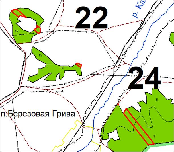 Постановление Правительства Кемеровской области - Кузбасса от 24.11.2021 N 699 "Об изменении границ земель, на которых расположены леса, указанные в пунктах 3 и 4 части 1 статьи 114 Лесного кодекса Российской Федерации, Новокузнецкого лесничества Кемеровской области"