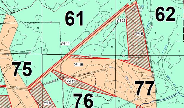Постановление Правительства Кемеровской области - Кузбасса от 07.04.2022 N 193 "Об изменении площадей и границ земель, на которых расположены леса, указанные в пункте 3 части 1 статьи 114 Лесного кодекса Российской Федерации, Яйского лесничества Кемеровской области - Кузбасса"