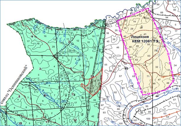 Постановление Правительства Кемеровской области - Кузбасса от 12.04.2022 N 203 "Об изменении площадей и границ земель, на которых расположены леса, указанные в пункте 3 части 1 статьи 114 Лесного кодекса Российской Федерации, Кузедеевского лесничества Кемеровской области"