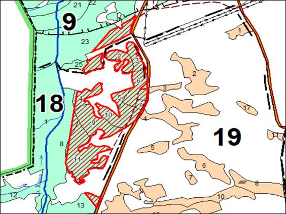 Постановление Правительства Кемеровской области - Кузбасса от 13.04.2022 N 208 "Об изменении площадей и границ земель, на которых расположены леса, указанные в пункте 3 части 1 статьи 114 Лесного кодекса Российской Федерации, Прокопьевского лесничества Кемеровской области"