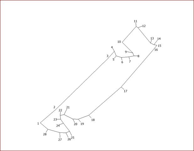 Постановление Правительства Кемеровской области - Кузбасса от 15.06.2022 N 374 "Об изменении площадей и границ земель, на которых расположены леса, указанные в пункте 3 части 1 статьи 114 Лесного кодекса Российской Федерации, Кемеровского и Юргинского лесничеств Кемеровской области - Кузбасса"