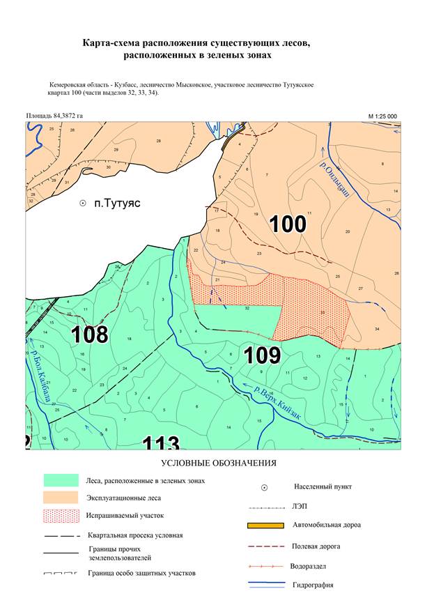 Постановление Правительства Кемеровской области - Кузбасса от 09.11.2022 N 738 "Об изменении площадей и границ земель, на которых расположены леса, указанные в пункте 3 части 1 статьи 114 Лесного кодекса Российской Федерации, Мысковского лесничества Кемеровской области - Кузбасса"