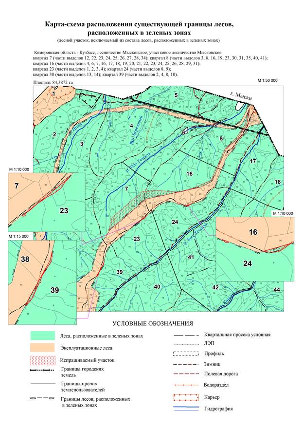 Постановление Правительства Кемеровской области - Кузбасса от 09.11.2022 N 738 "Об изменении площадей и границ земель, на которых расположены леса, указанные в пункте 3 части 1 статьи 114 Лесного кодекса Российской Федерации, Мысковского лесничества Кемеровской области - Кузбасса"