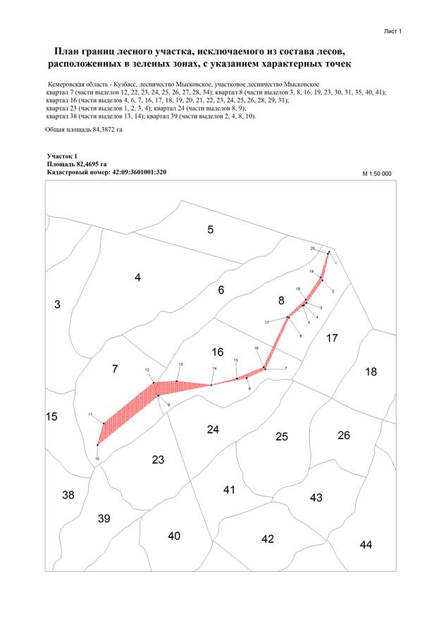 Постановление Правительства Кемеровской области - Кузбасса от 09.11.2022 N 738 "Об изменении площадей и границ земель, на которых расположены леса, указанные в пункте 3 части 1 статьи 114 Лесного кодекса Российской Федерации, Мысковского лесничества Кемеровской области - Кузбасса"