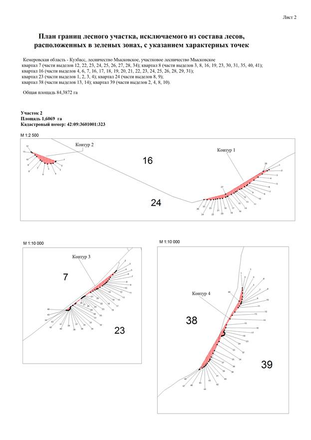 Постановление Правительства Кемеровской области - Кузбасса от 09.11.2022 N 738 "Об изменении площадей и границ земель, на которых расположены леса, указанные в пункте 3 части 1 статьи 114 Лесного кодекса Российской Федерации, Мысковского лесничества Кемеровской области - Кузбасса"