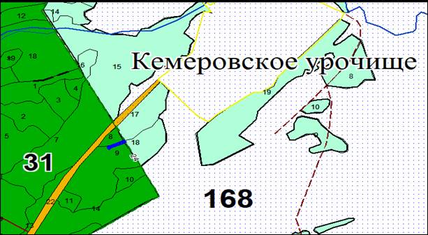 Постановление Правительства Кемеровской области - Кузбасса от 28.11.2024 N 766 "Об изменении площадей и границ земель, на которых расположены леса, указанные в пунктах 3 и 4 части 1 статьи 114 Лесного кодекса Российской Федерации, Кемеровского лесничества Кемеровской области – Кузбасса"