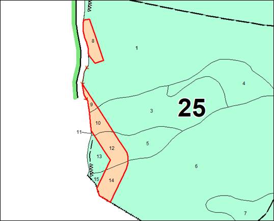 Постановление Правительства Кемеровской области - Кузбасса от 01.11.2025 N 647 "Об изменении площадей и границ земель, на которых расположены леса, указанные в пункте 3 части 1 статьи 114 Лесного кодекса Российской Федерации, Таштагольского лесничества Кемеровской области – Кузбасса". Рис. 1