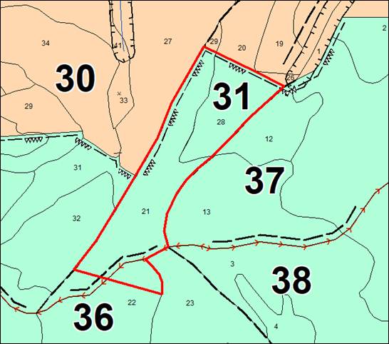 Постановление Правительства Кемеровской области - Кузбасса от 01.11.2025 N 647 "Об изменении площадей и границ земель, на которых расположены леса, указанные в пункте 3 части 1 статьи 114 Лесного кодекса Российской Федерации, Таштагольского лесничества Кемеровской области – Кузбасса". Рис. 8